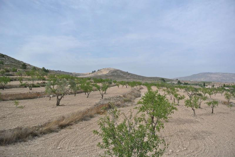 Se vende Terreno Rustico  en Costa Calida, Murcia, España