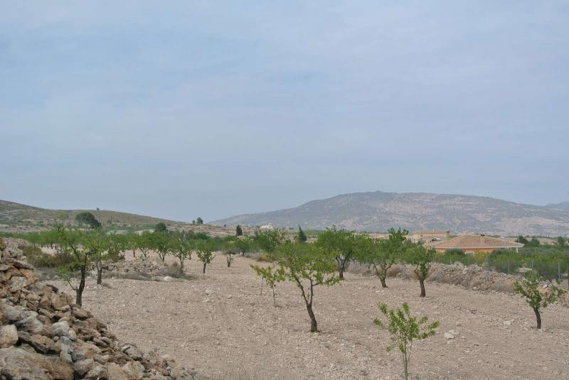 Se vende Terreno Rustico  en Costa Calida, Murcia, España