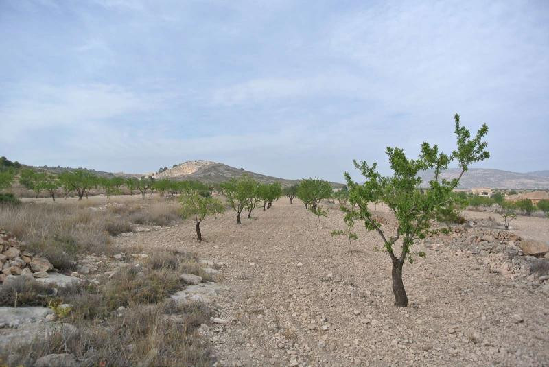 Se vende Terreno Rustico  en Costa Calida, Murcia, España