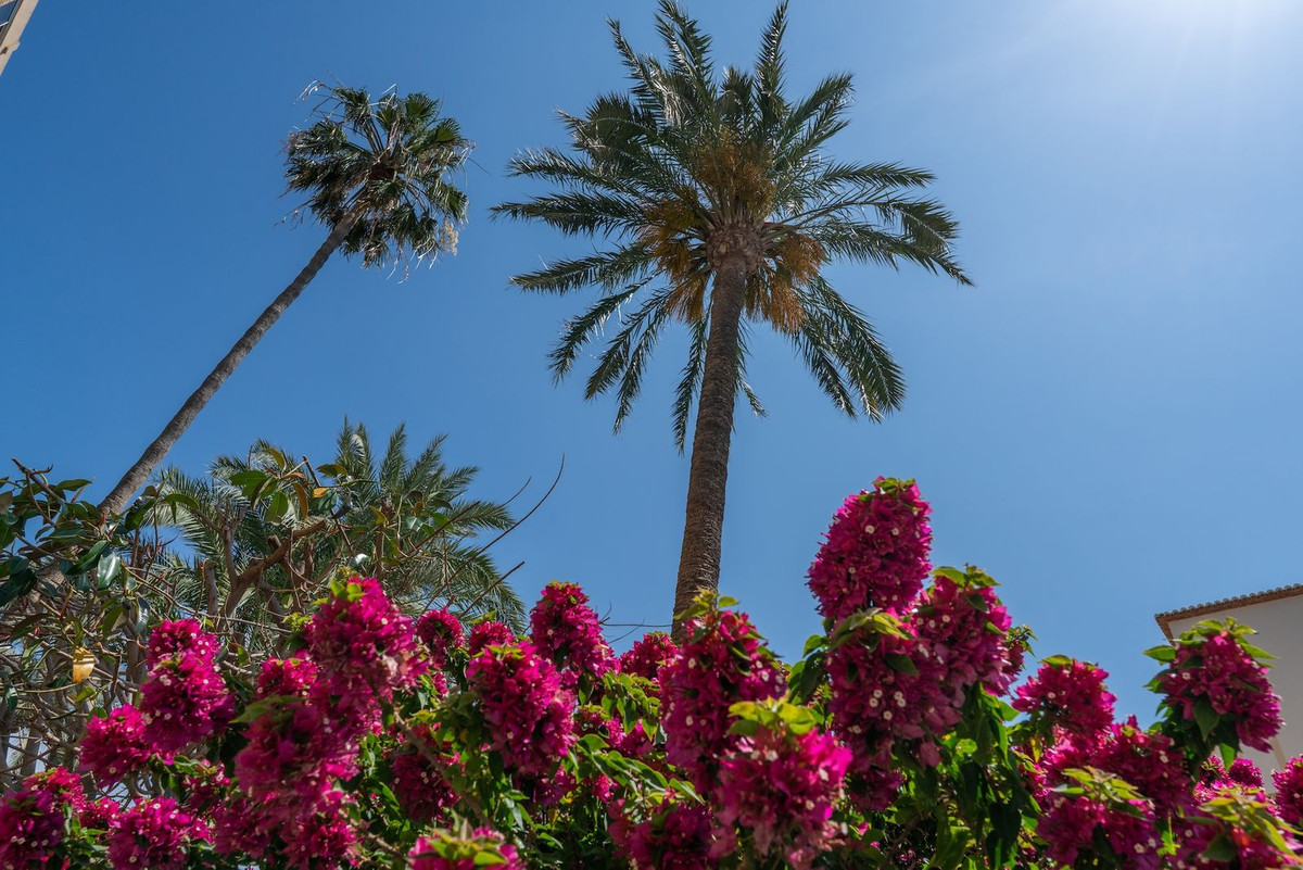3 Bed Apartment for sale in Javea Costa Blanca, Alicante, Spain