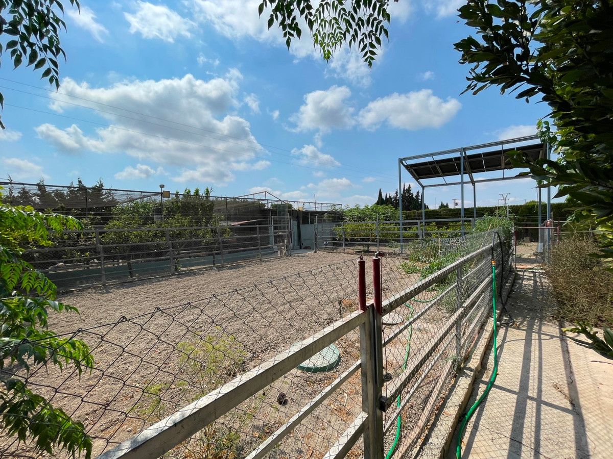 Se vende Villa - Chalet de 4 dormitorios en Costa Blanca, Alicante, España