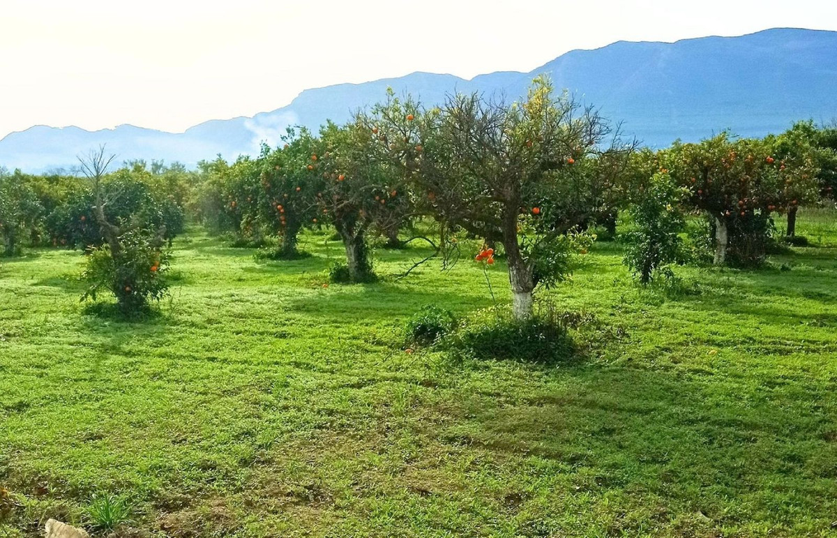 Se vende Terreno Rustico  en Costa Del Sol, Málaga, España