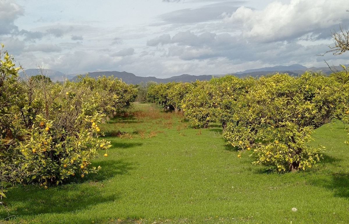 Se vende Terreno Rustico  en Costa Del Sol, Málaga, España