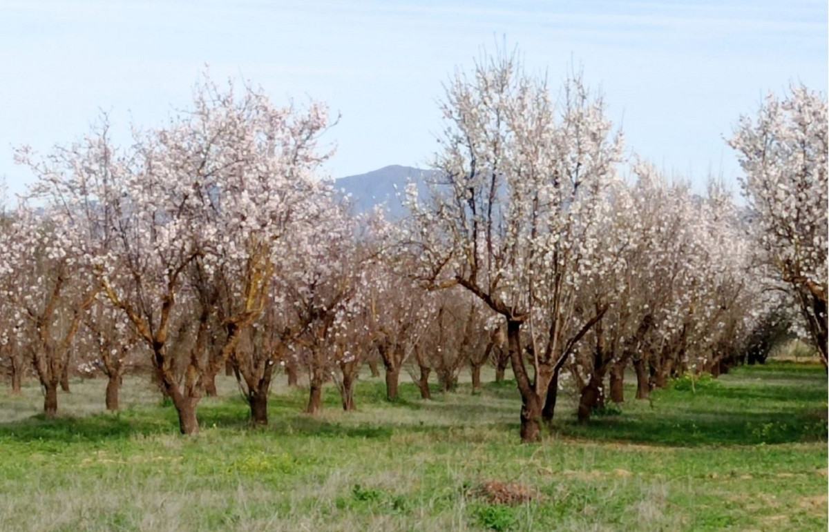 Se vende Terreno Rustico  en Costa Del Sol, Málaga, España