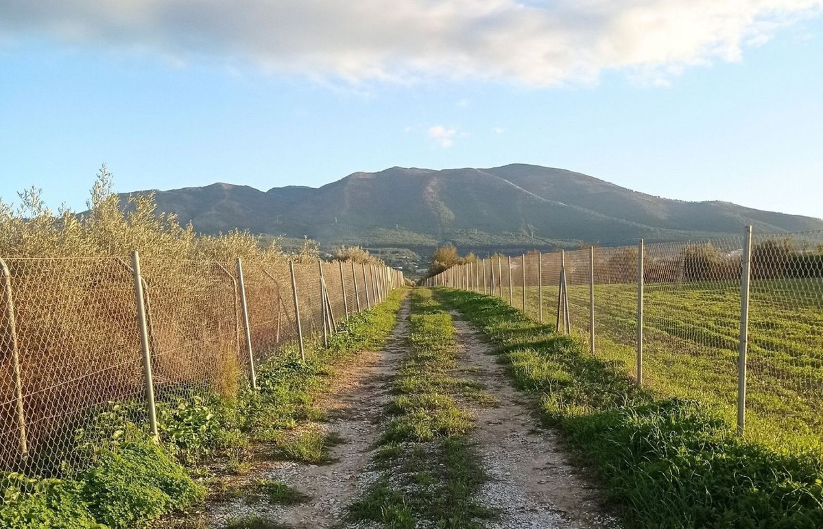 Se vende Terreno Rustico  en Costa Del Sol, Málaga, España