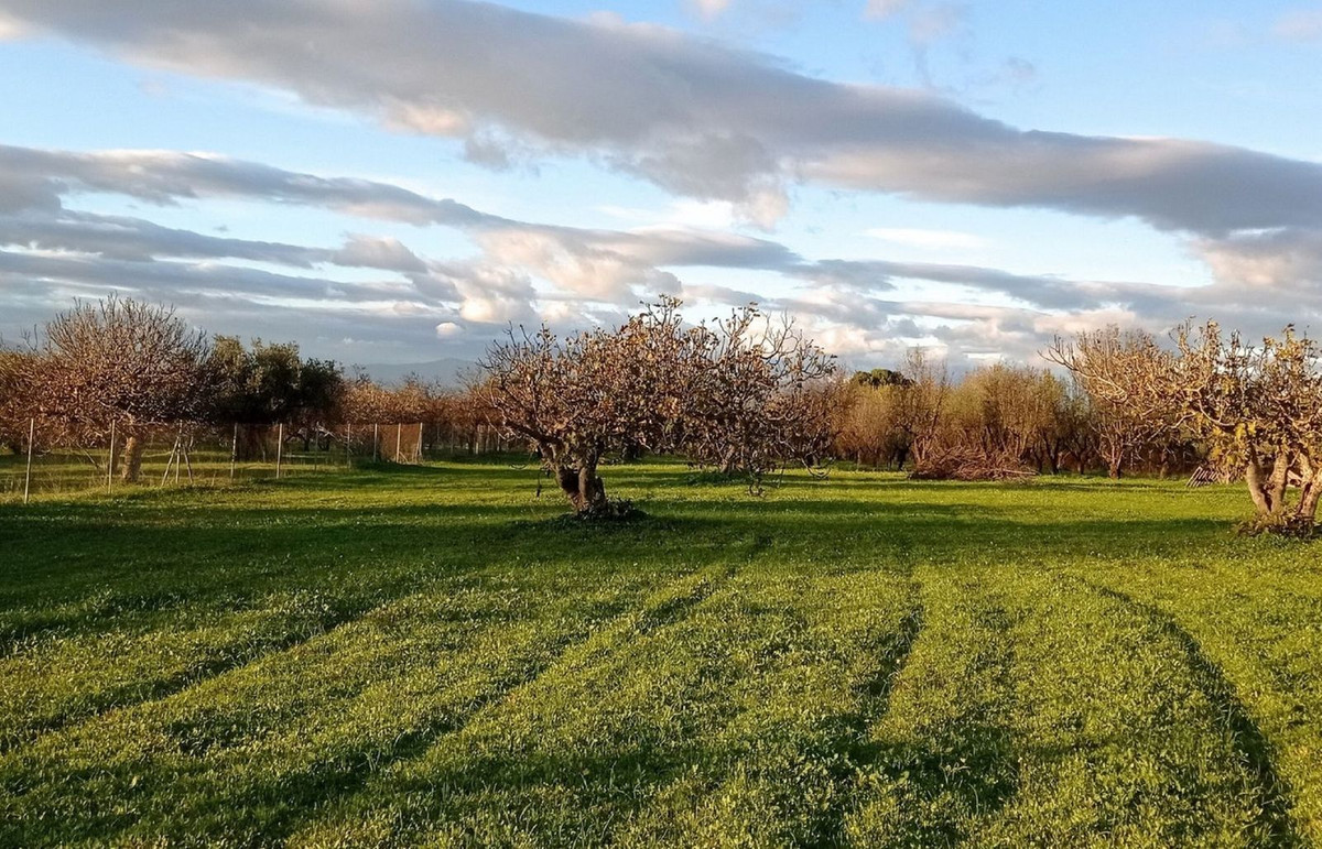 Se vende Terreno Rustico  en Costa Del Sol, Málaga, España