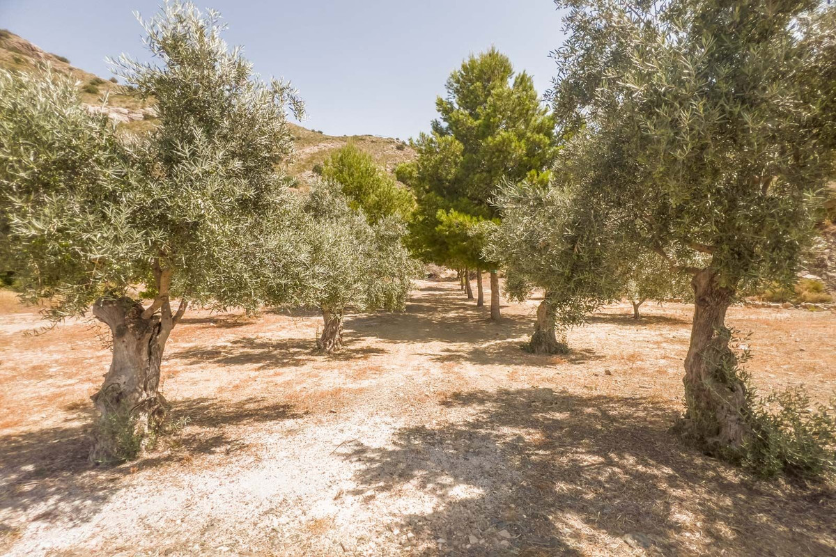 Se vende Terreno Urbano  en Costa Del Sol, Málaga, España