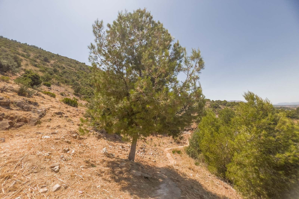 Se vende Terreno Urbano  en Costa Del Sol, Málaga, España