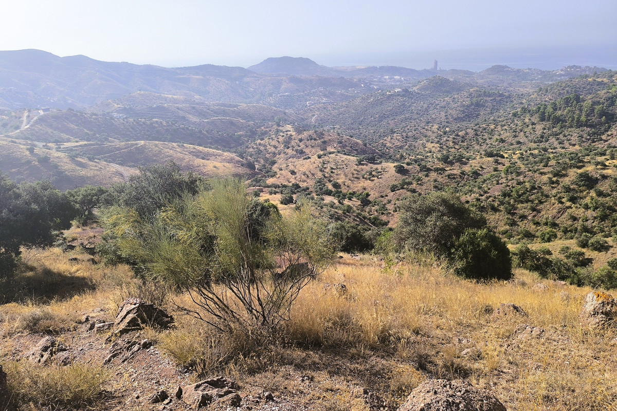 Se vende Terreno Rustico  en Málaga Ciudad, Málaga, España