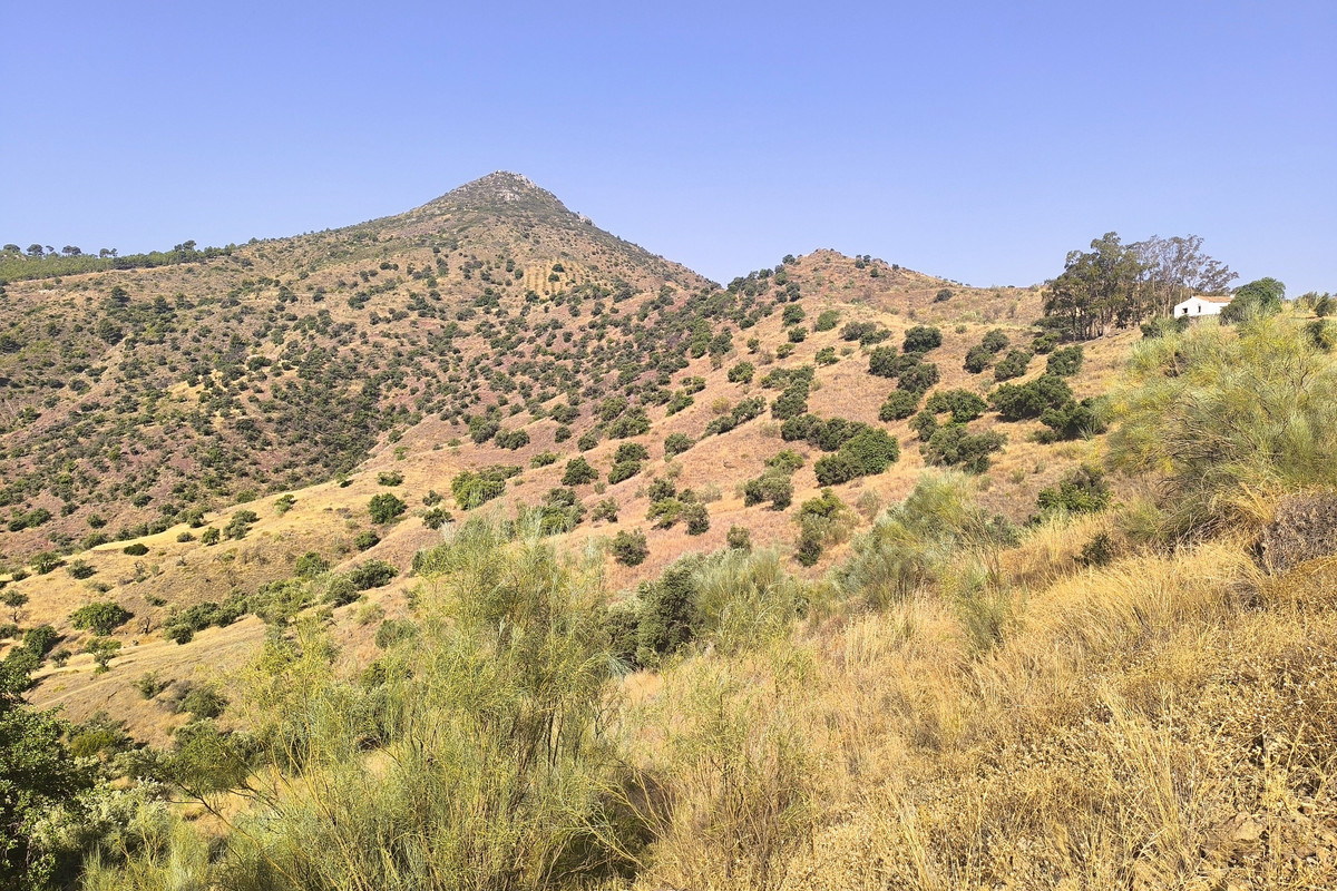 Se vende Terreno Rustico  en Málaga Ciudad, Málaga, España