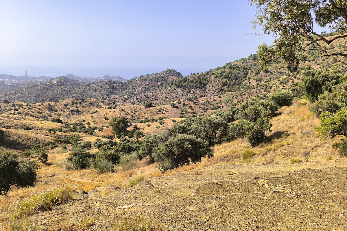 Se vende Terreno Rustico  en Málaga Ciudad, Málaga, España