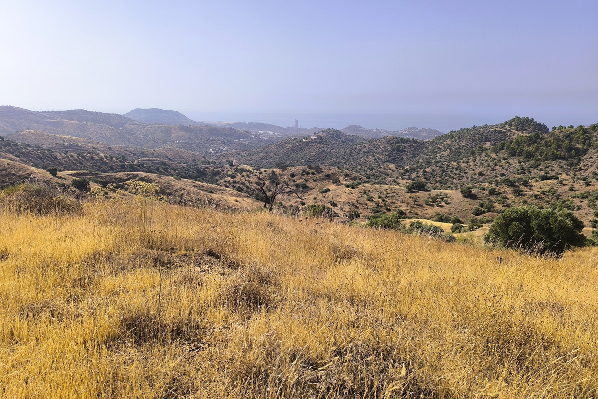 Se vende Terreno Rustico  en Málaga Ciudad, Málaga, España