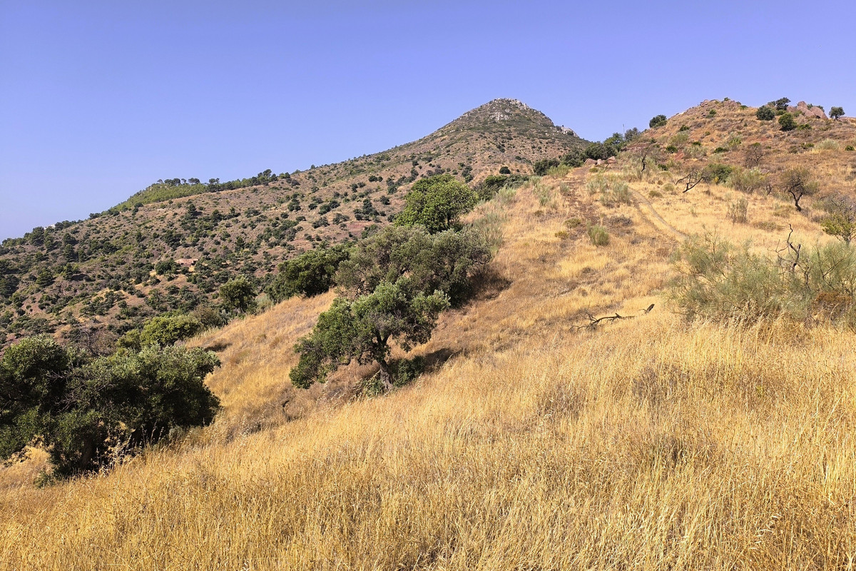 Se vende Terreno Rustico  en Málaga Ciudad, Málaga, España