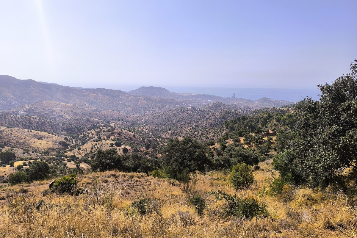 Se vende Terreno Rustico  en Málaga Ciudad, Málaga, España