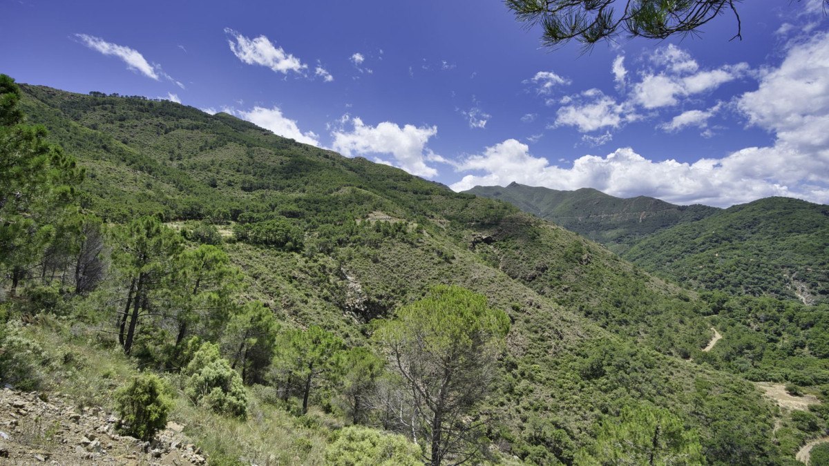 Plots for sale in Coín Costa Del Sol, Málaga, Spain