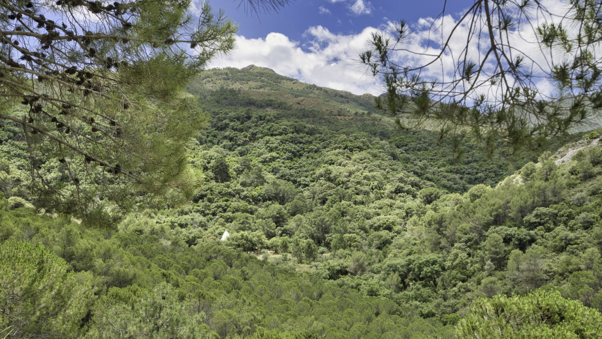 Plots for sale in Coín Costa Del Sol, Málaga, Spain