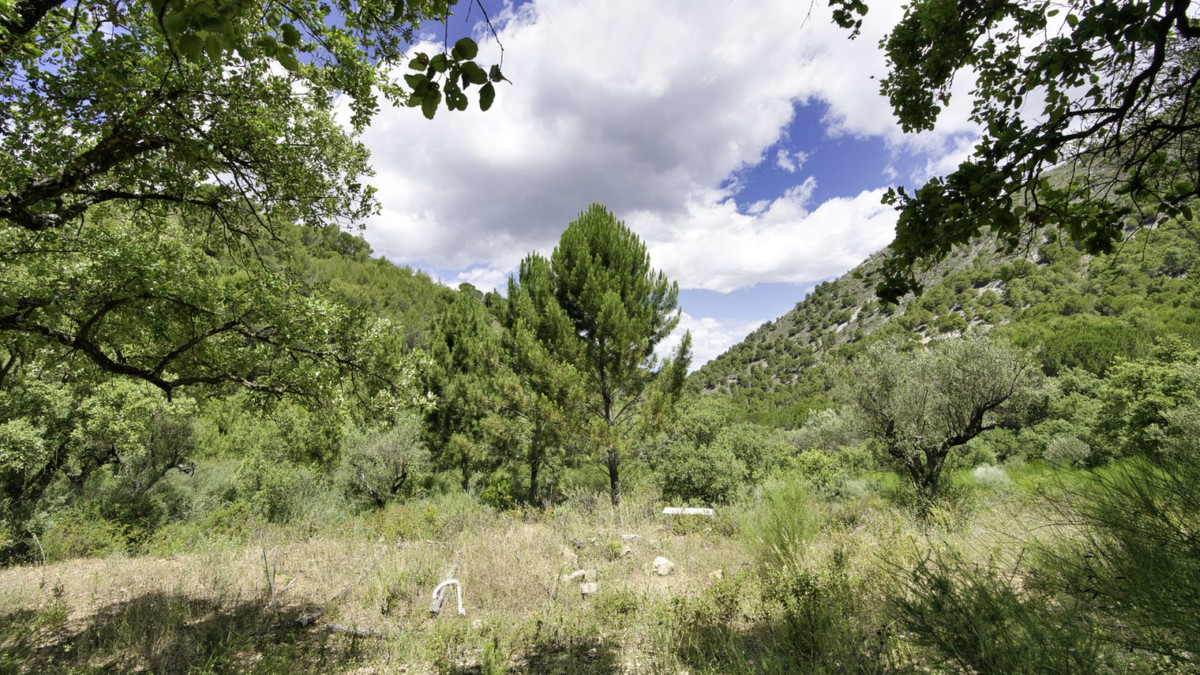 Plots for sale in Coín Costa Del Sol, Málaga, Spain