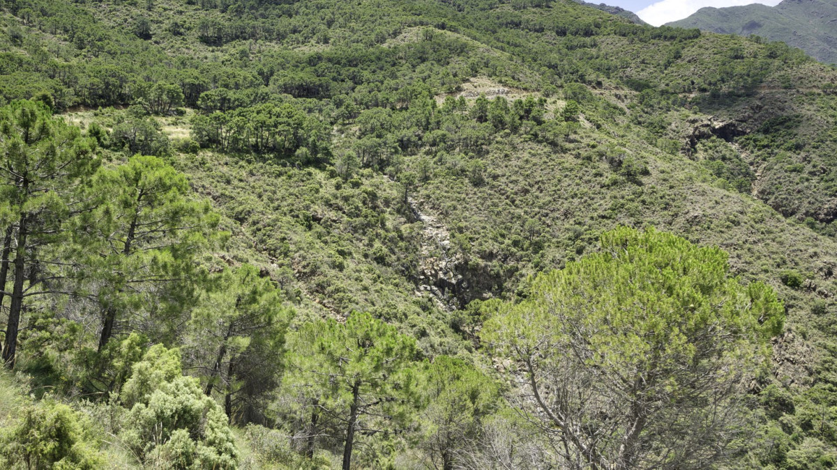 Plots for sale in Coín Costa Del Sol, Málaga, Spain
