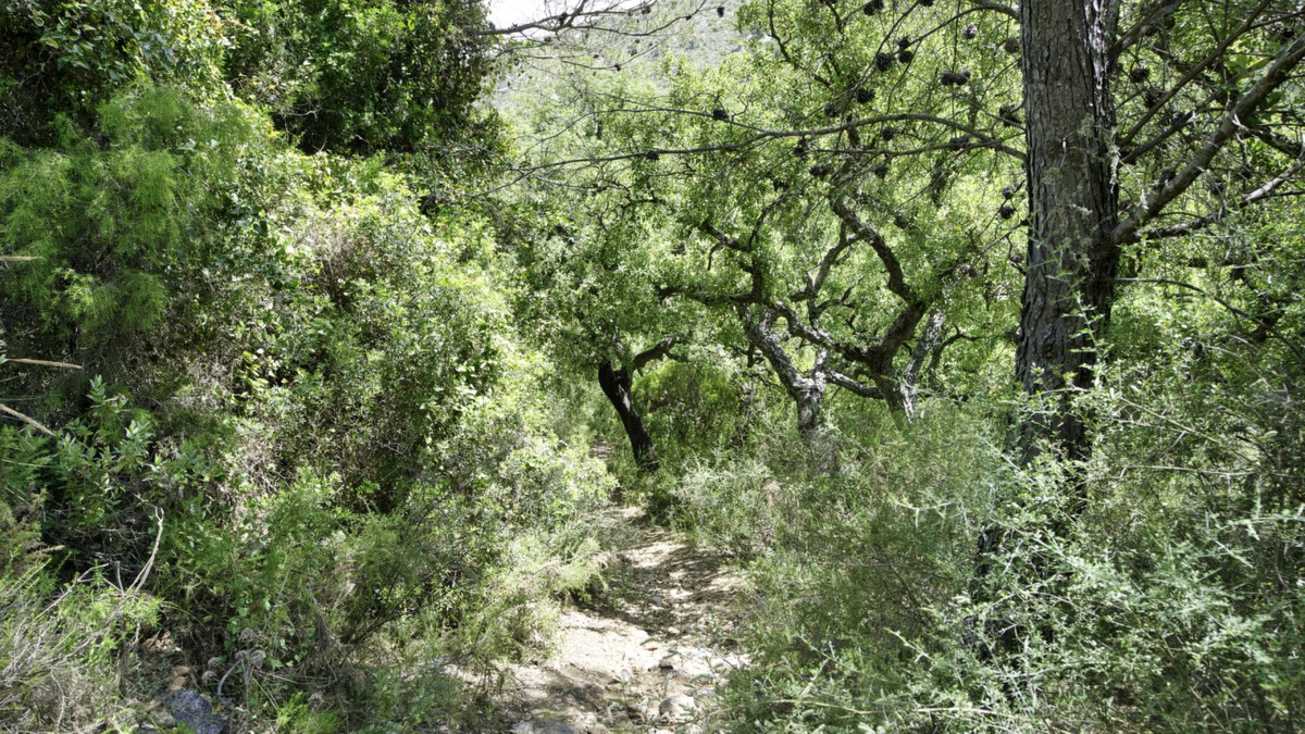 Plots for sale in Coín Costa Del Sol, Málaga, Spain