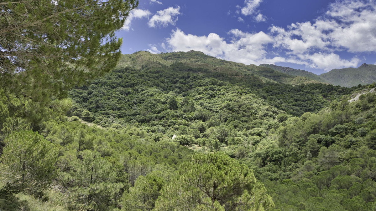 Plots for sale in Coín Costa Del Sol, Málaga, Spain