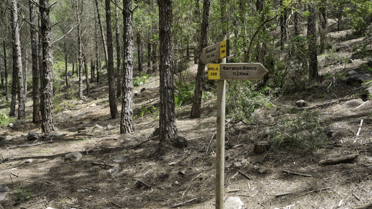 Plots for sale in Coín Costa Del Sol, Málaga, Spain