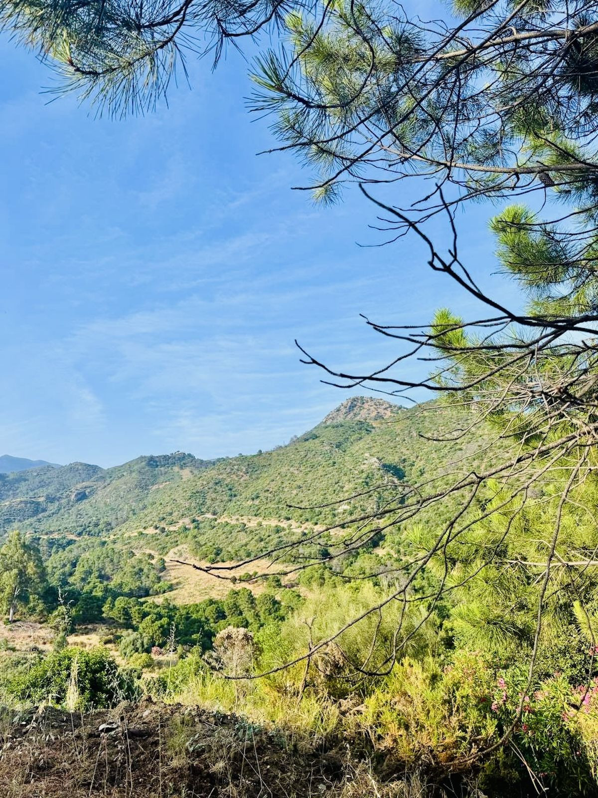 Se vende Terreno Urbano  en Costa Del Sol, Málaga, España