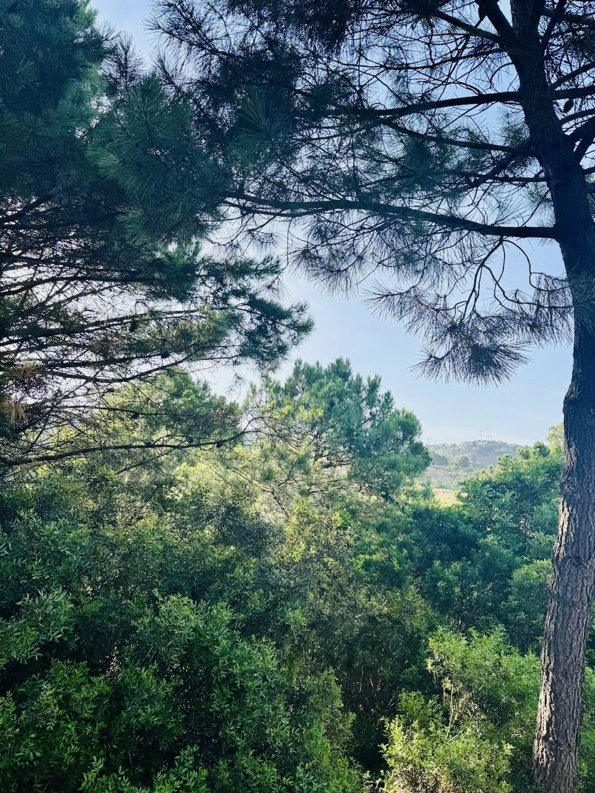 Se vende Terreno Urbano  en Costa Del Sol, Málaga, España