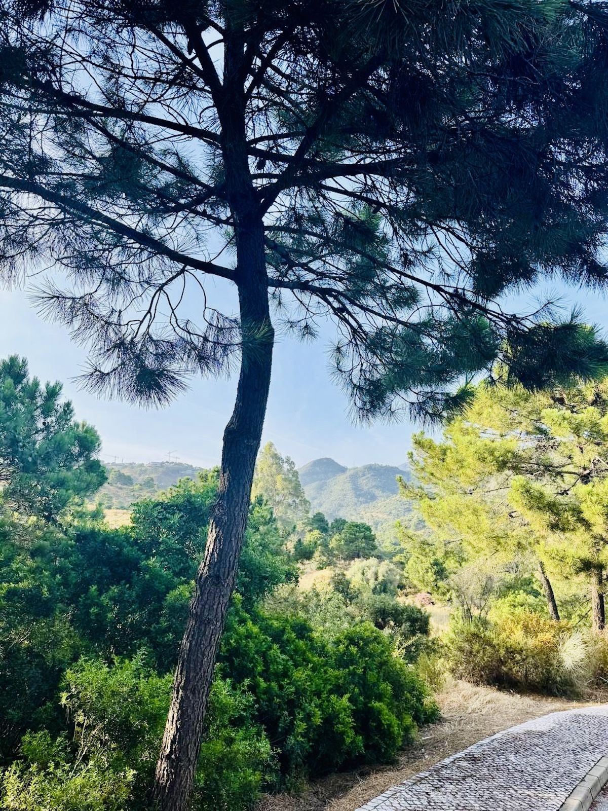 Se vende Terreno Urbano  en Costa Del Sol, Málaga, España