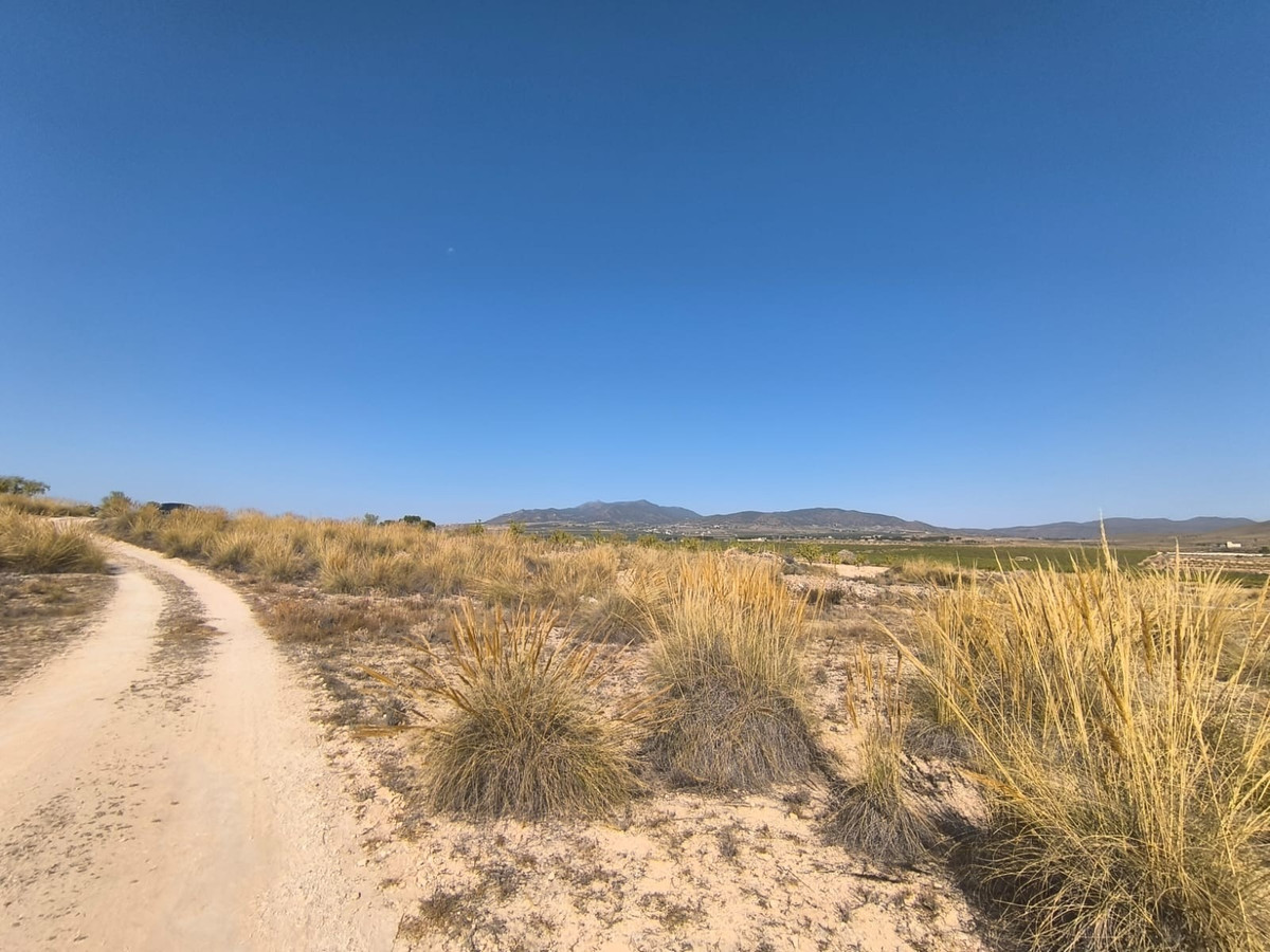 Se vende Terreno Rustico  en Costa Blanca, Alicante, España