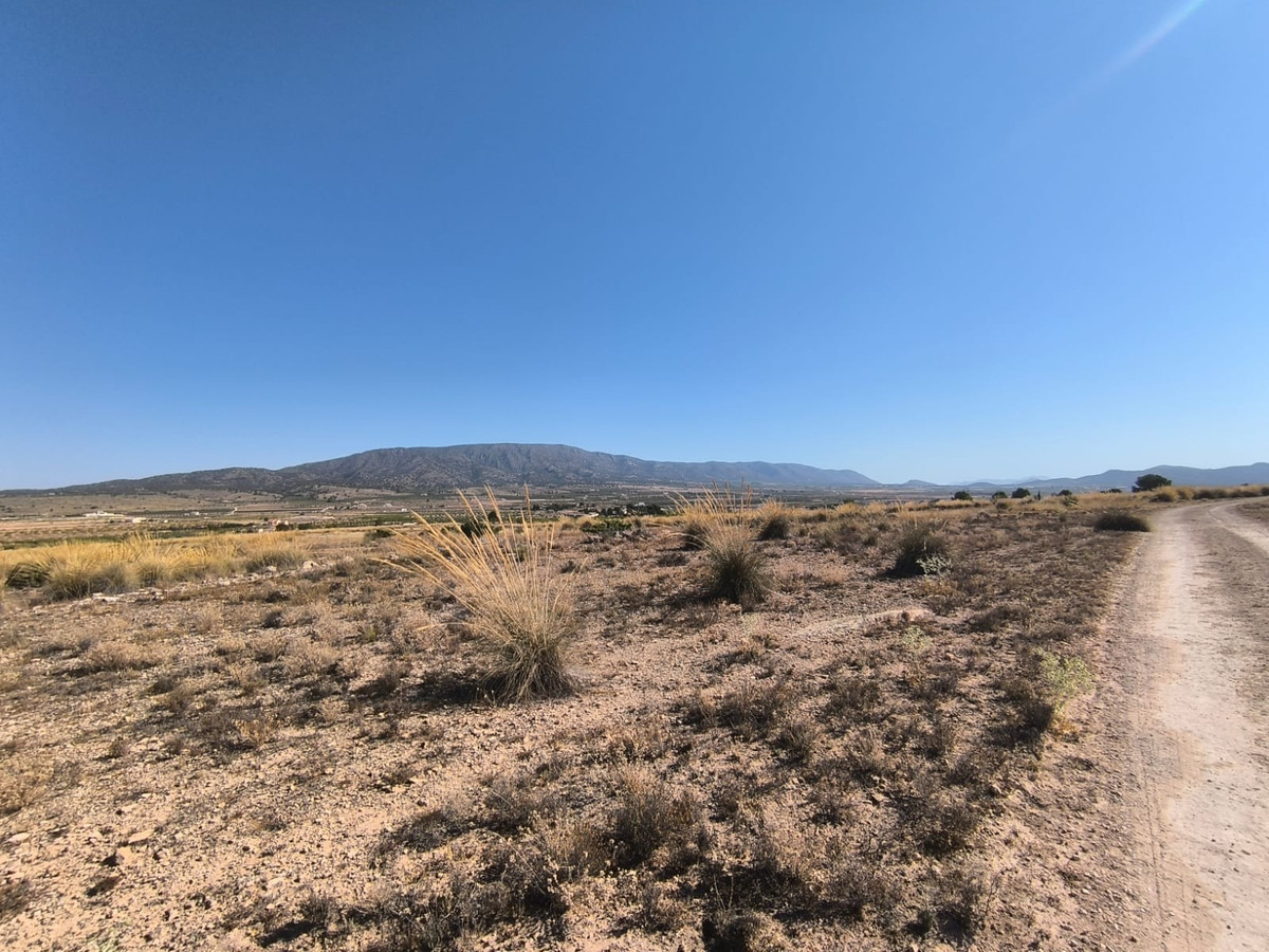 Se vende Terreno Rustico  en Costa Blanca, Alicante, España