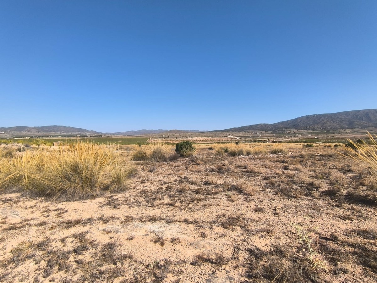 Se vende Terreno Rustico  en Costa Blanca, Alicante, España