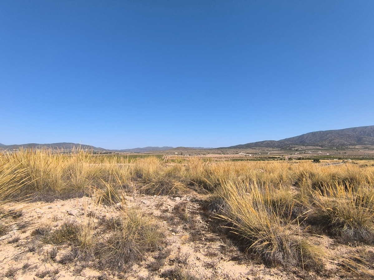 Se vende Terreno Rustico  en Costa Blanca, Alicante, España