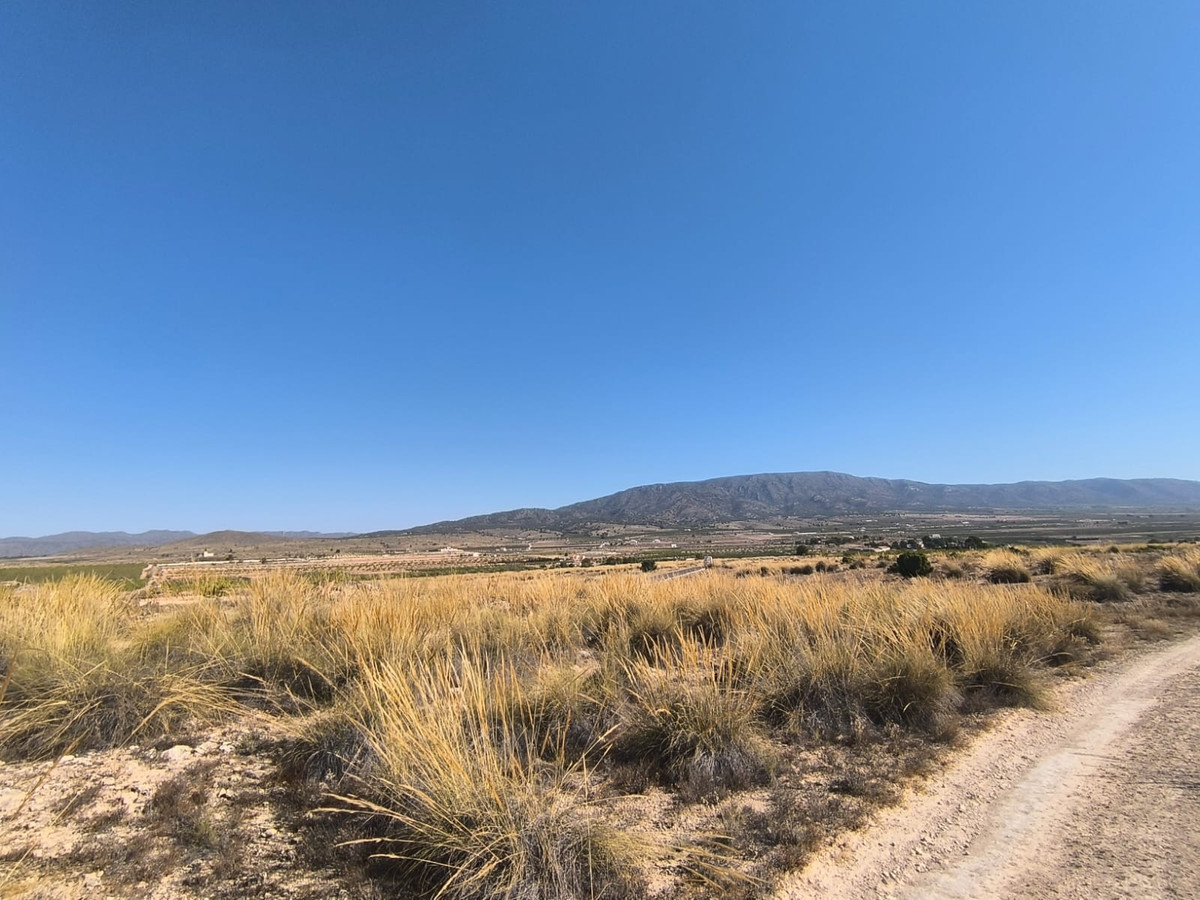 Se vende Terreno Rustico  en Costa Blanca, Alicante, España