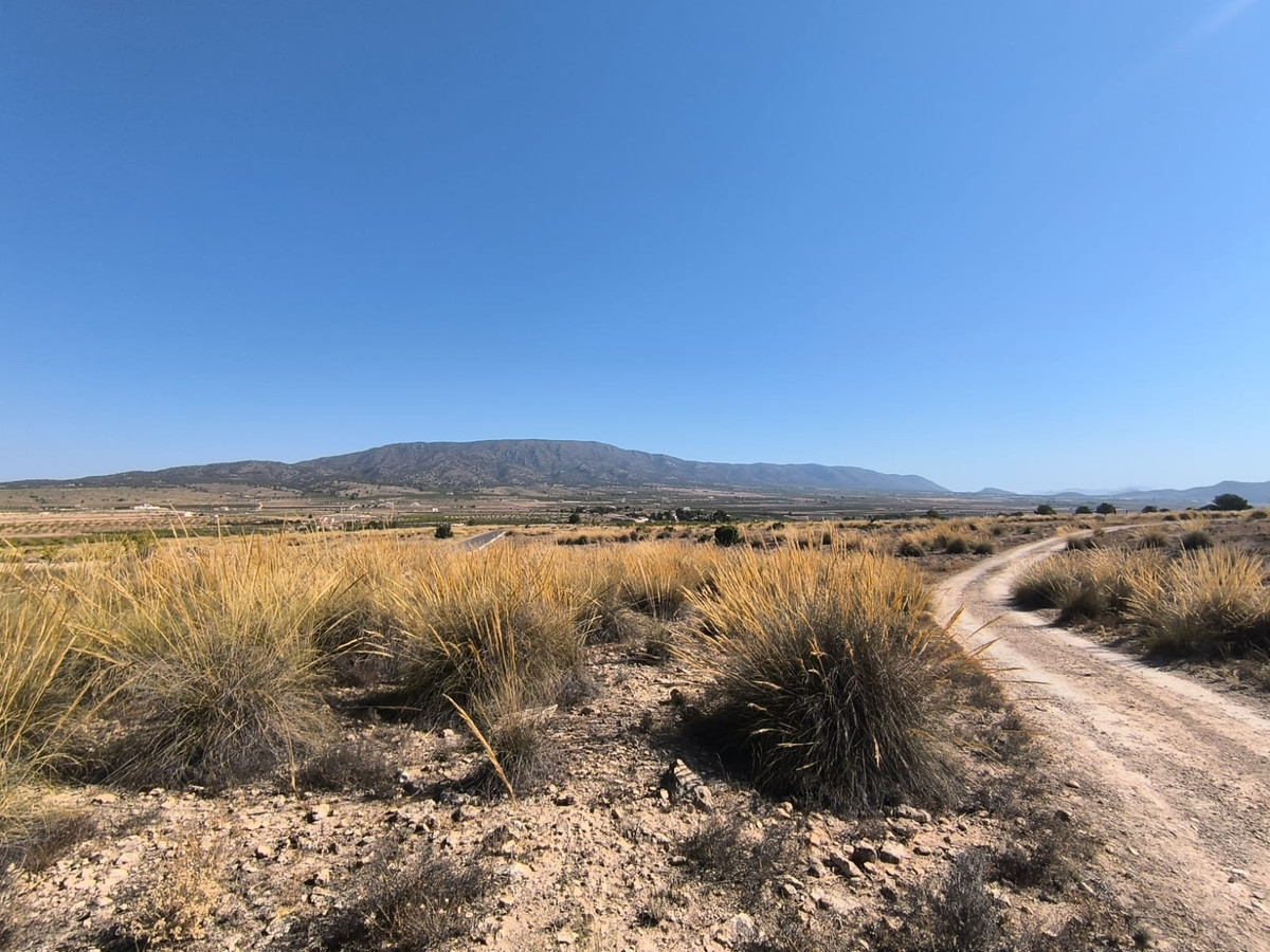 Se vende Terreno Rustico  en Costa Blanca, Alicante, España
