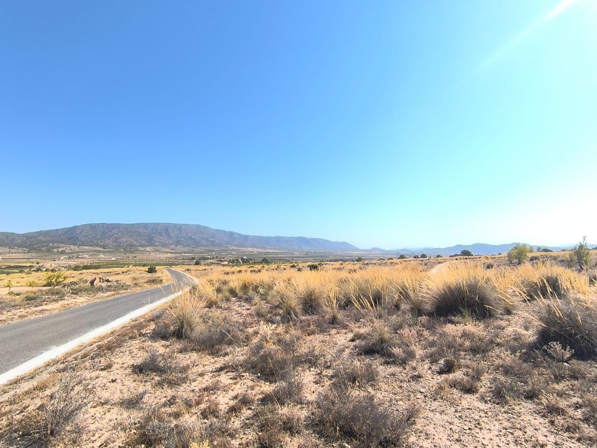 Se vende Terreno Rustico  en Costa Blanca, Alicante, España