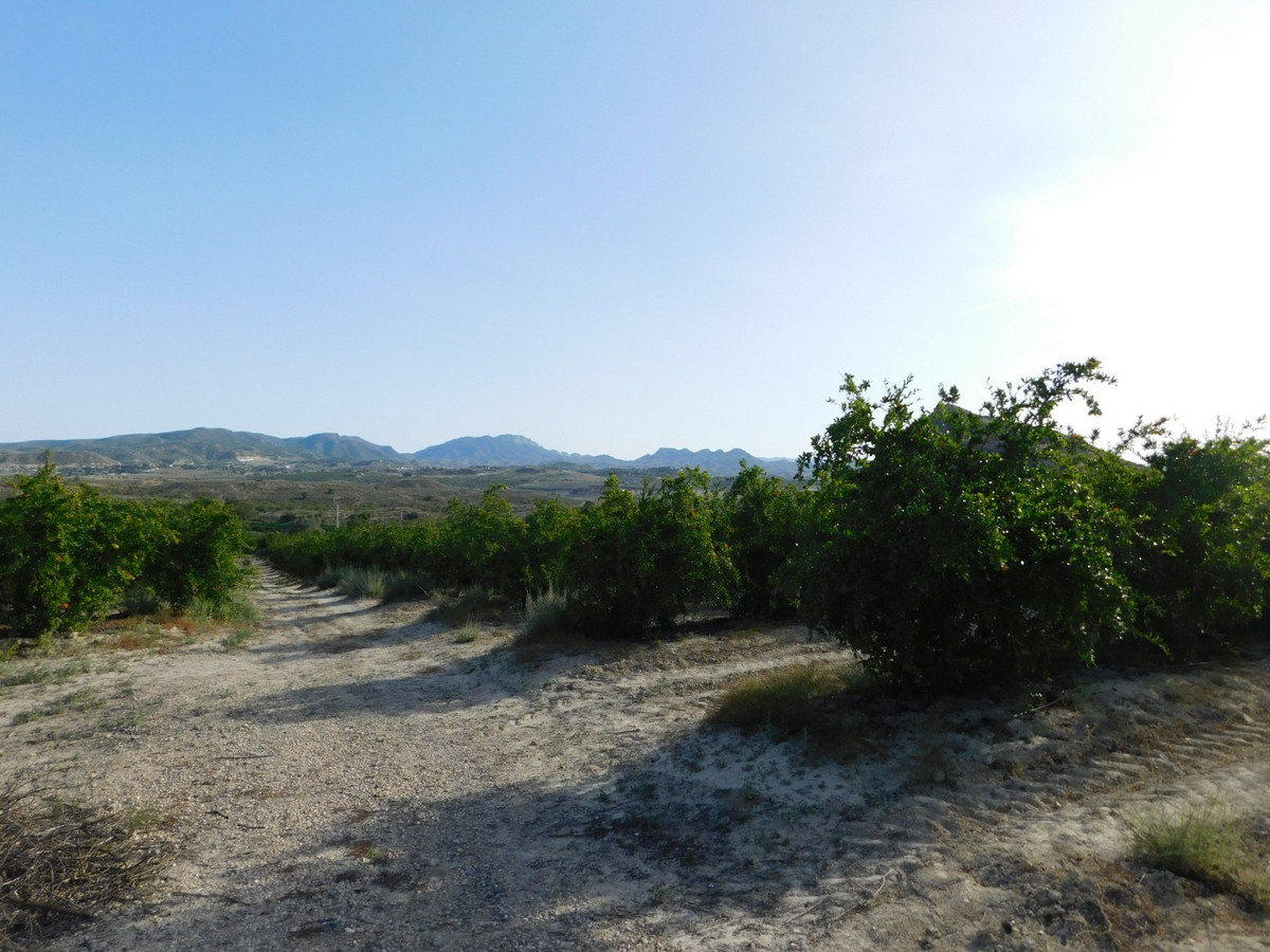 Plots for sale in Torremendo Costa Blanca, Alicante, Spain