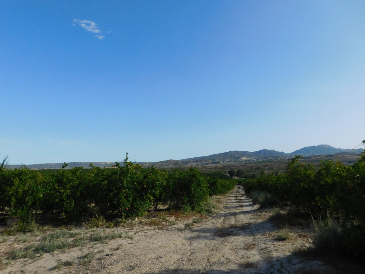 Plots for sale in Torremendo Costa Blanca, Alicante, Spain