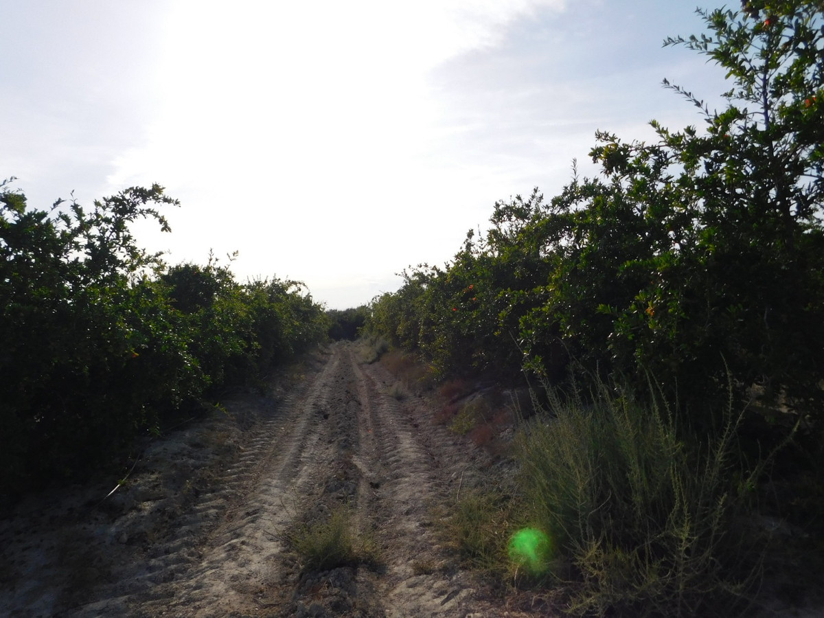 Plots for sale in Torremendo Costa Blanca, Alicante, Spain
