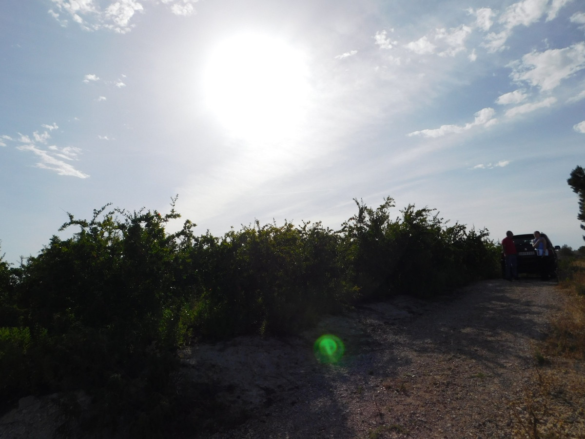Plots for sale in Torremendo Costa Blanca, Alicante, Spain