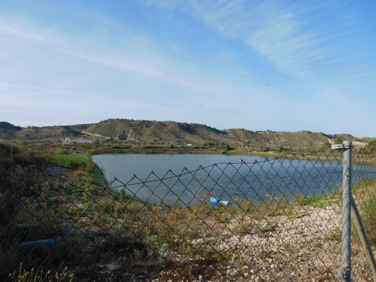 Se vende Terreno Rustico  en Costa Blanca, Alicante, España
