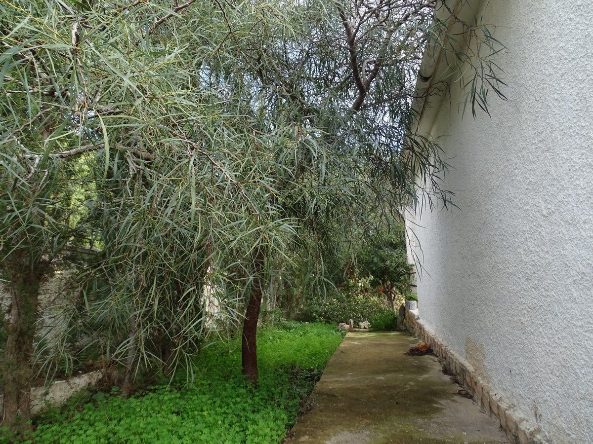 Se vende Villa - Chalet de 3 dormitorios en Costa Blanca, Alicante, España