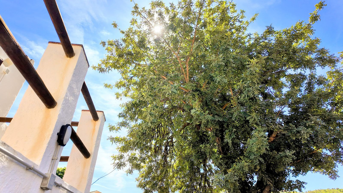 Se vende Finca - Cortijo de 3 dormitorios en Costa Del Sol, Málaga, España
