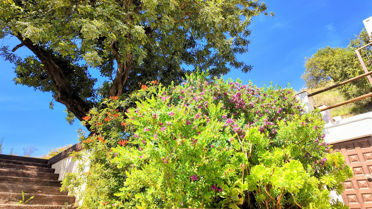 Se vende Finca - Cortijo de 3 dormitorios en Costa Del Sol, Málaga, España