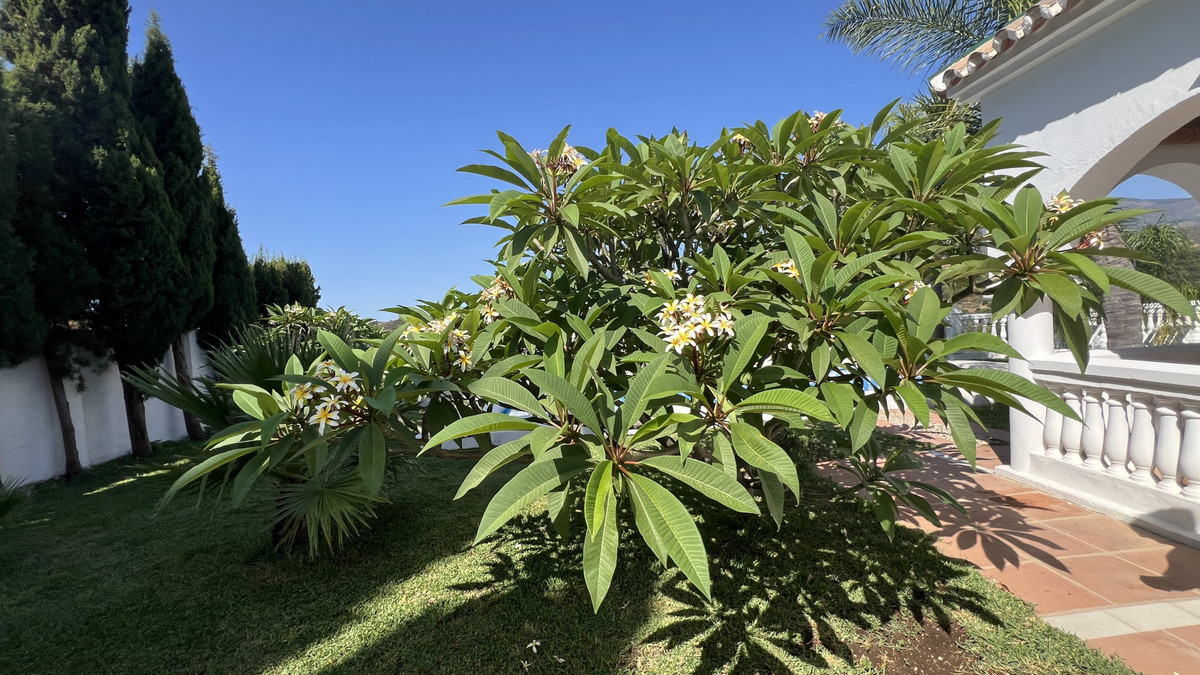 3 Bed Townhouse for sale in Estepona Costa Del Sol, Málaga, Spain