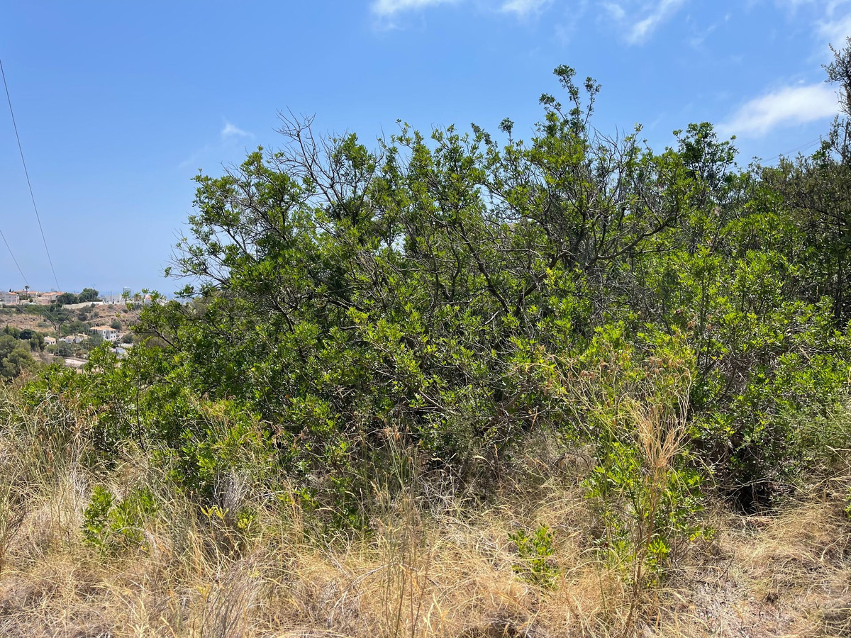 Se vende Terreno Urbano  en Costa Blanca, Alicante, España