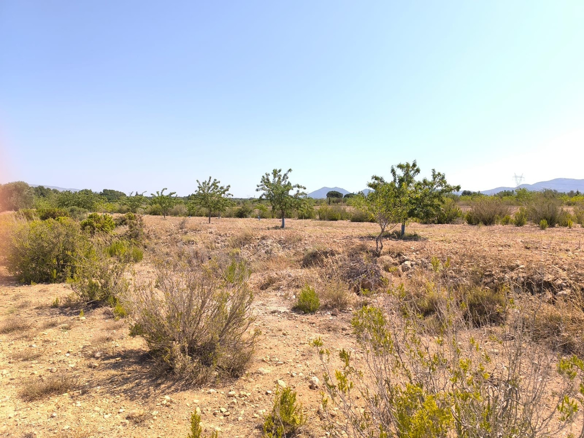 Se vende Finca - Cortijo de 6 dormitorios en Costa Blanca, Alicante, España