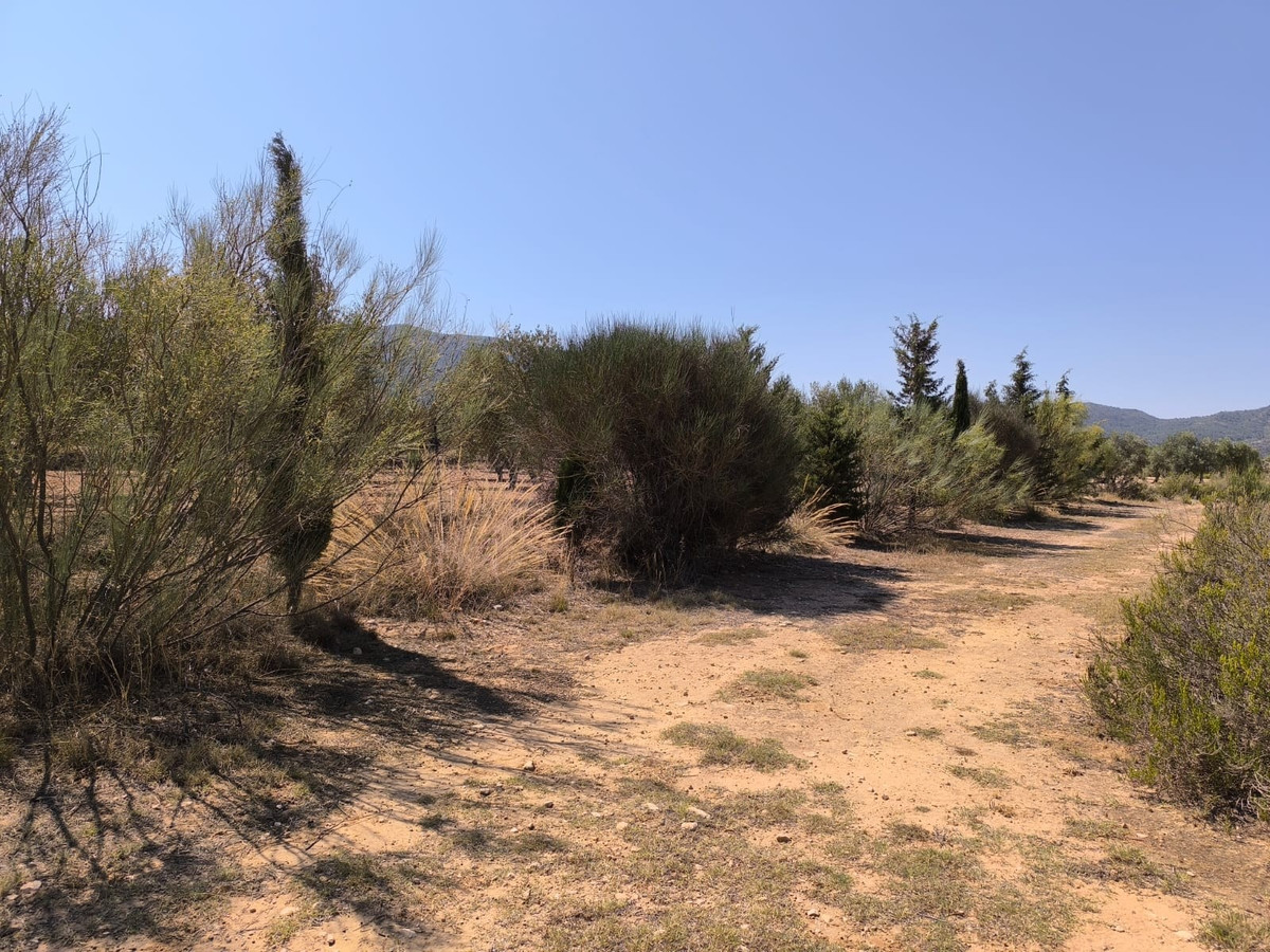 Se vende Finca - Cortijo de 6 dormitorios en Costa Blanca, Alicante, España