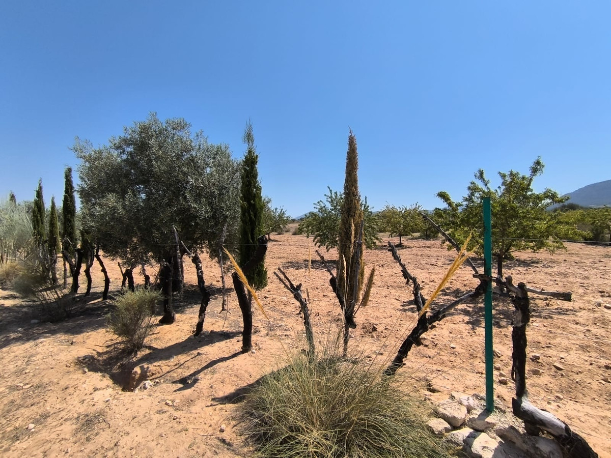 Se vende Finca - Cortijo de 6 dormitorios en Costa Blanca, Alicante, España