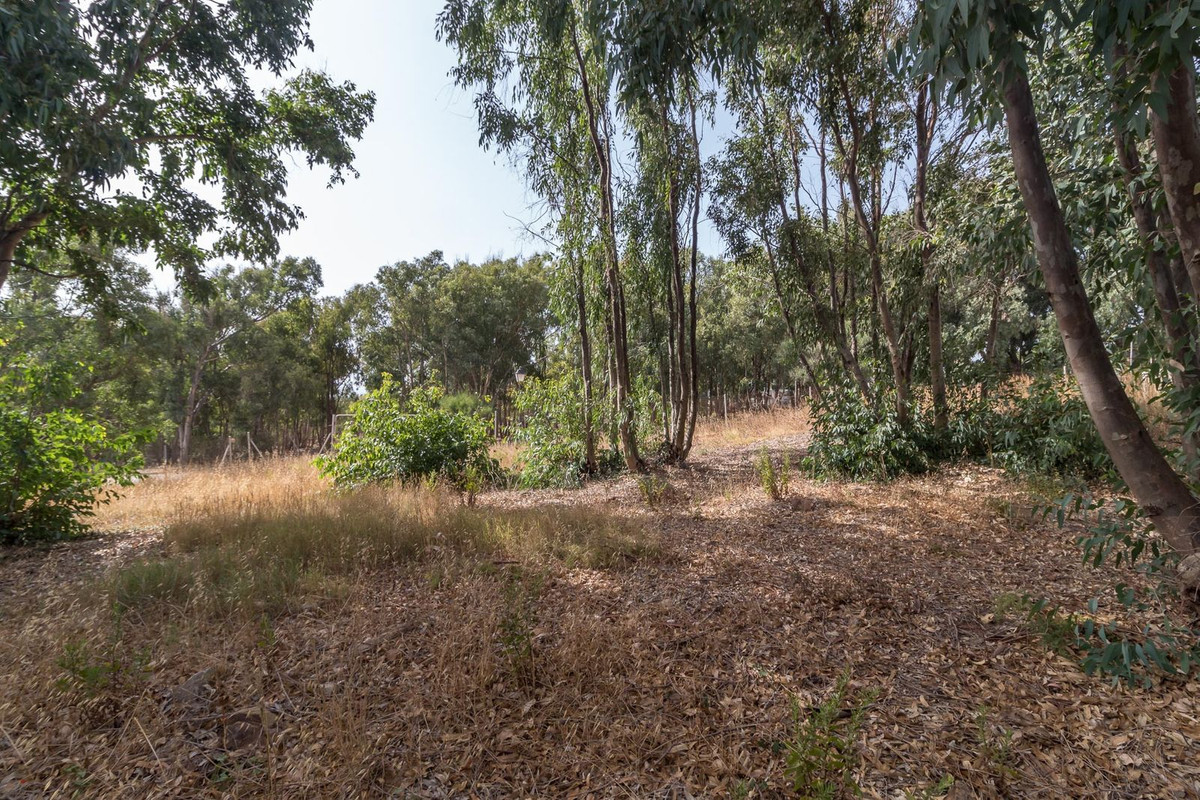 Plots for sale in Manilva Costa Del Sol, Málaga, Spain