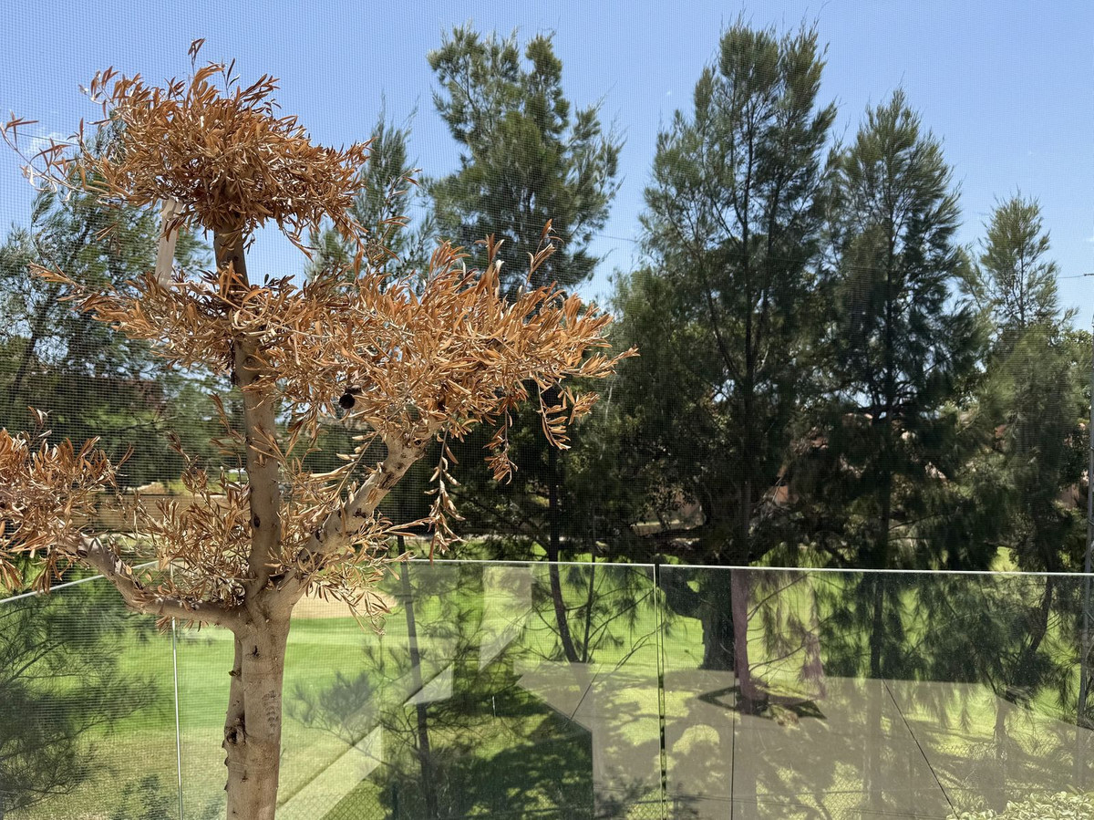 Se vende Ático de 3 dormitorios en Costa Del Sol, Málaga, España